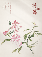 将图片加载到图库查看器，红豆2 | 城限 | 民国情感 | 一次次因你破碎，又一次次为你圆满
