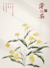 将图片加载到图库查看器，红豆2 | 城限 | 民国情感 | 一次次因你破碎，又一次次为你圆满
