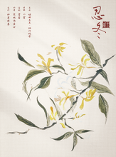 将图片加载到图库查看器，红豆2 | 城限 | 民国情感 | 一次次因你破碎，又一次次为你圆满
