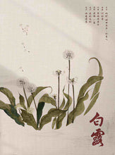 将图片加载到图库查看器，红豆 | 城限 | 民国情感 | 离家时的每一步，都是归途
