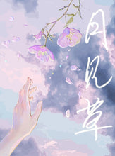 将图片加载到图库查看器，月见草｜情感
