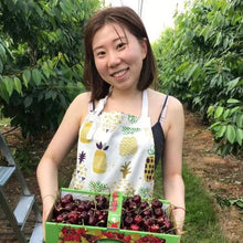 将图片加载到图库查看器，海绵宝宝｜KoKo
